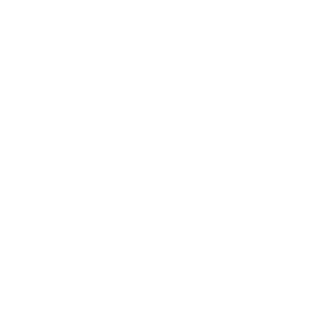 Bellon Entertainment Inc.